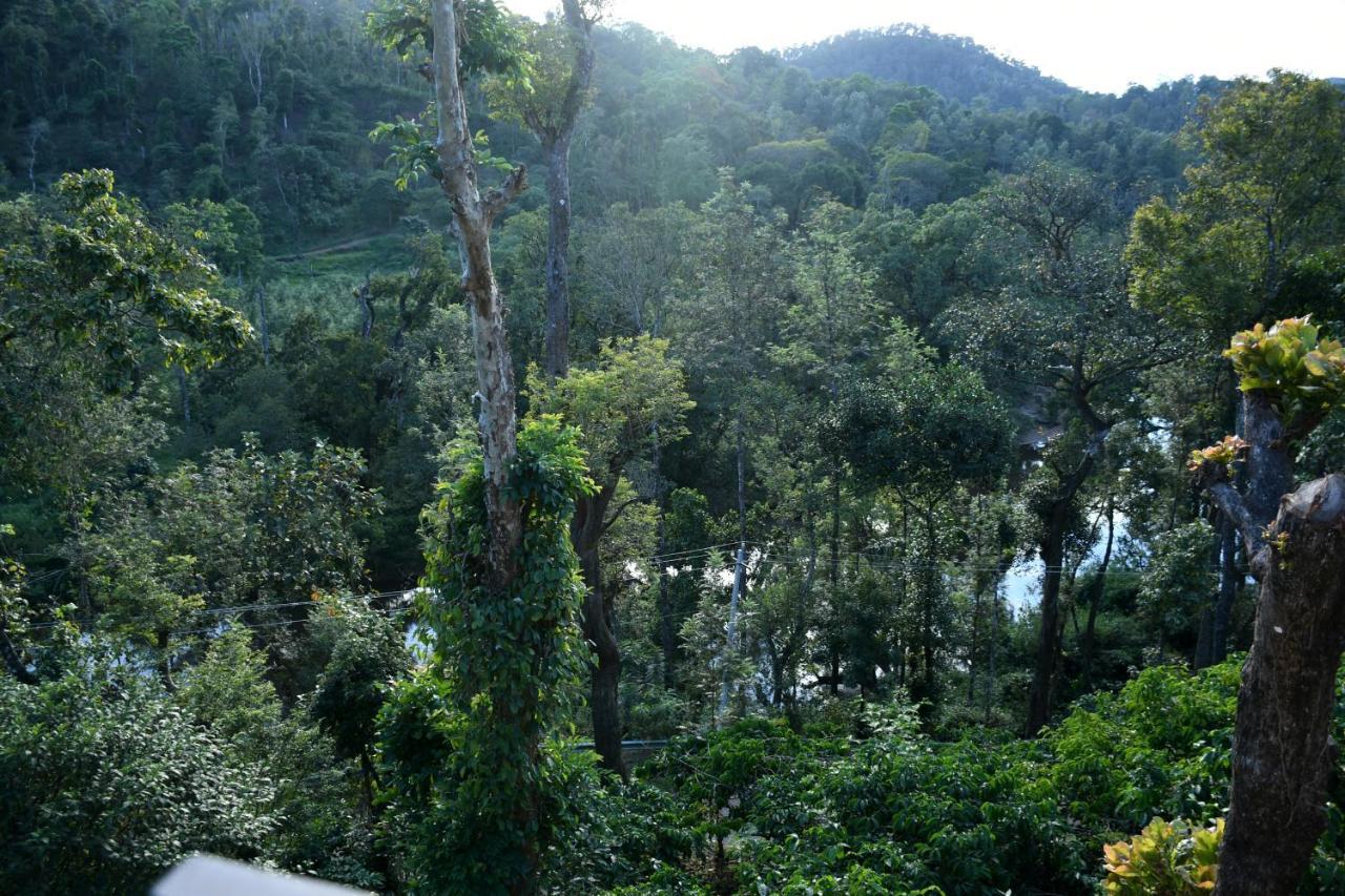 River View Guest House Madikeri Bagian luar foto
