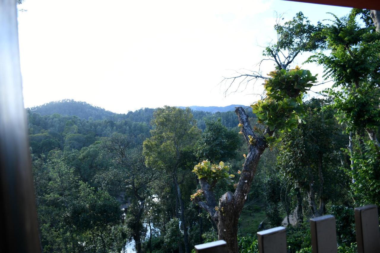 River View Guest House Madikeri Bagian luar foto